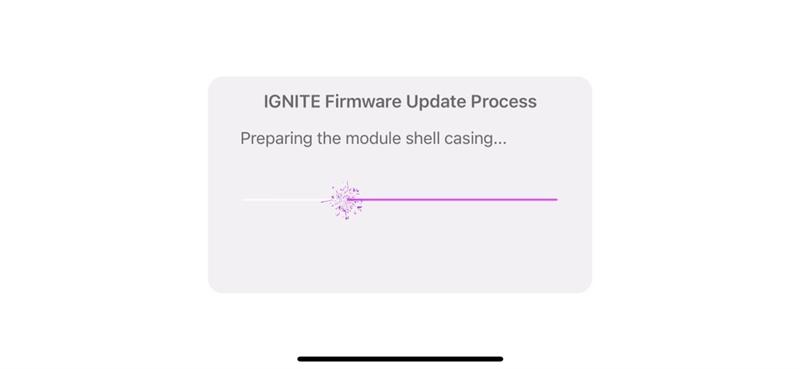 Module Firmware Upgrade in Progress.jpg