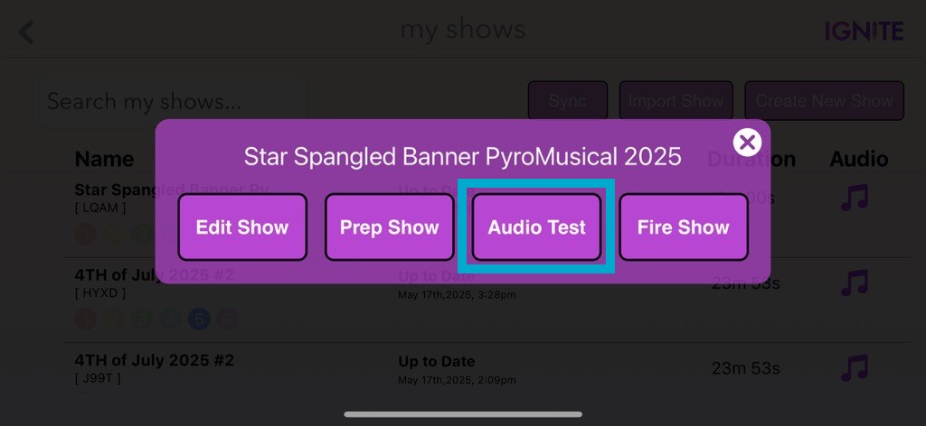 Shows Screen With Box Around Audio Test Button.jpg