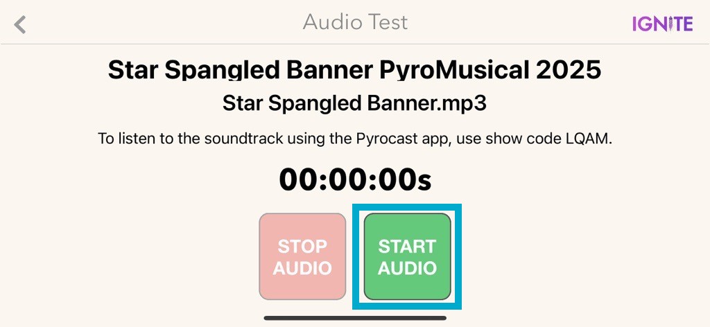 Audio Test Screen With Box Around Start Audio Button.jpg