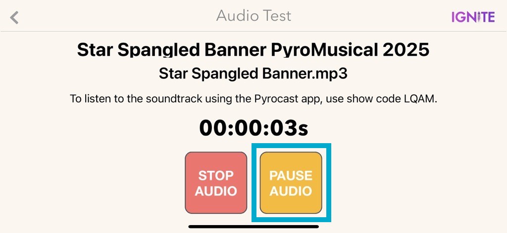 Audio Test Screen With Box Around Pause Audio Button.jpg