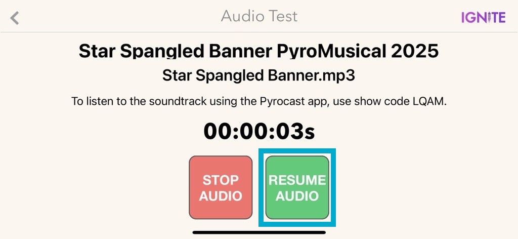Audio Test Screen With Box Around Resume Audio.jpg