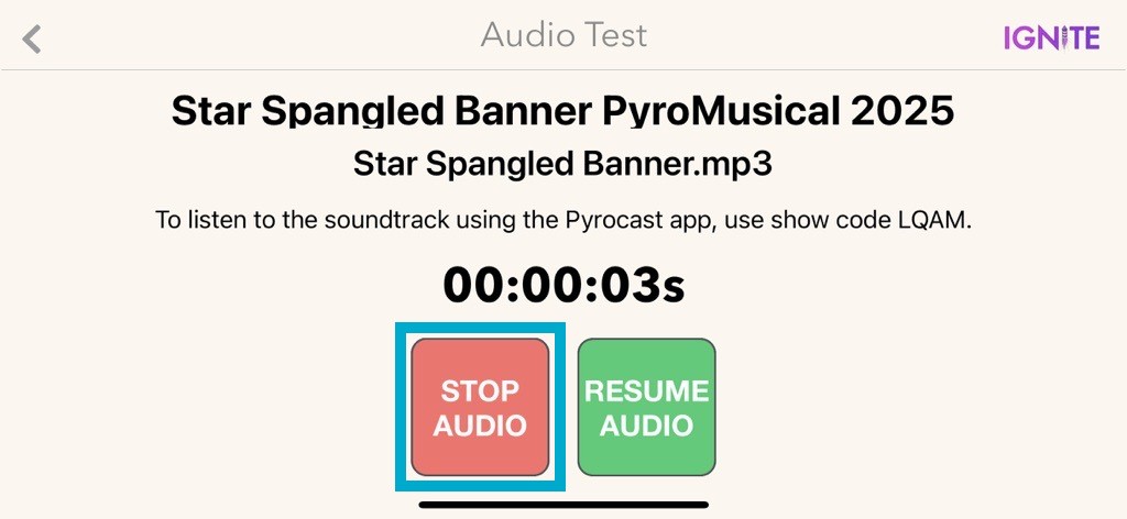 Audio Test Screen With Box Around Stop Audio Button.jpg