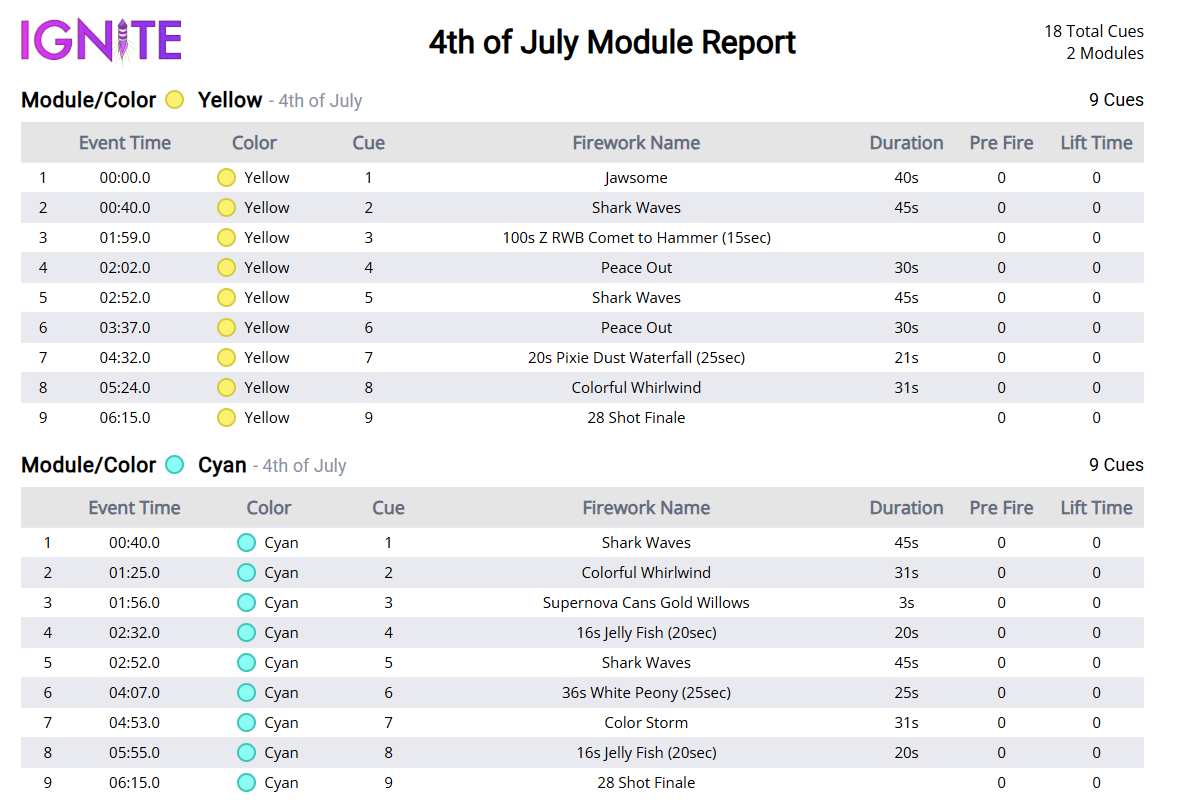 Module Report example