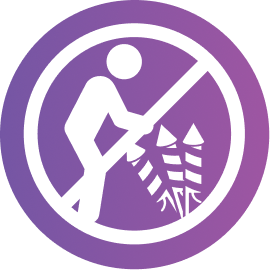 Handle fireworks with care