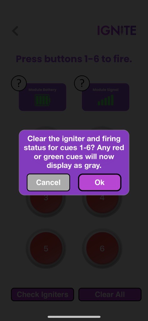 IGNITE Lite Confirm Clear Firing Memory.jpg